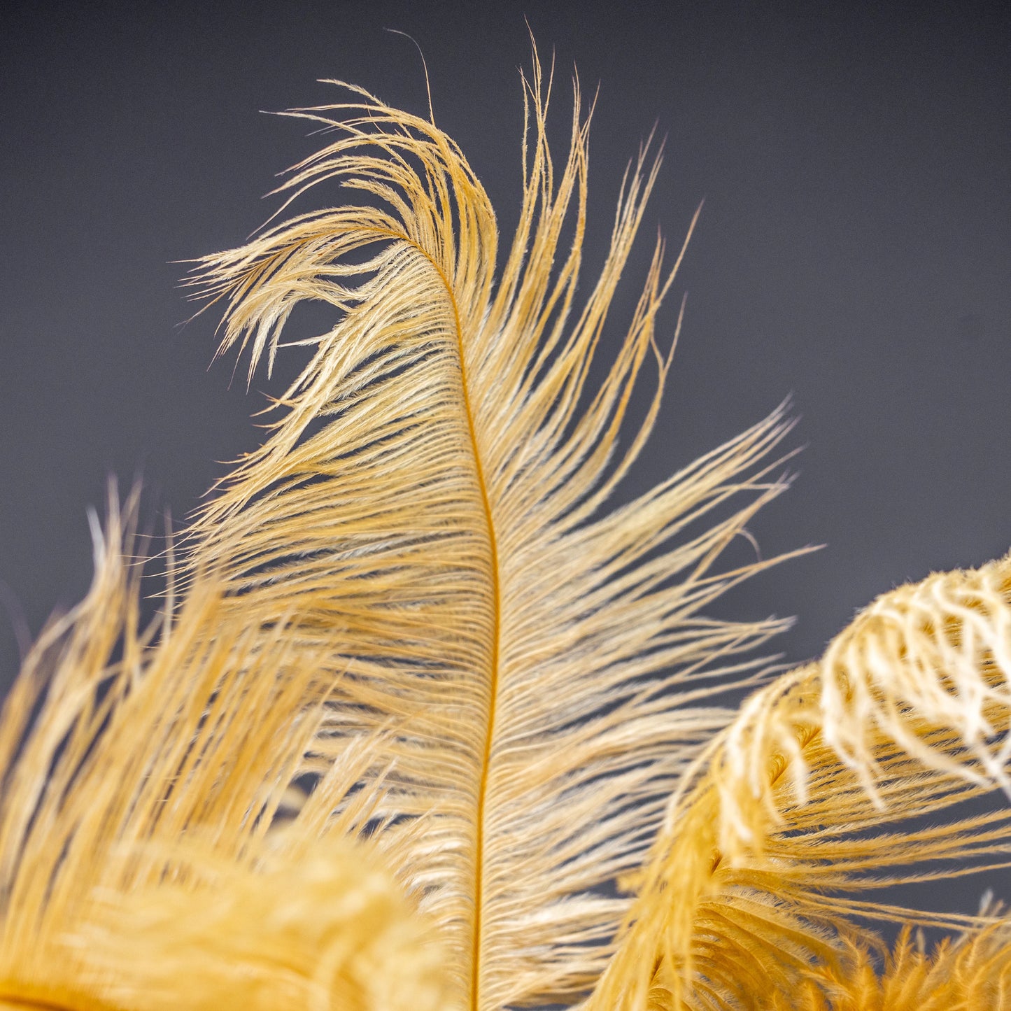 Feather Glow Lamp - Golden
