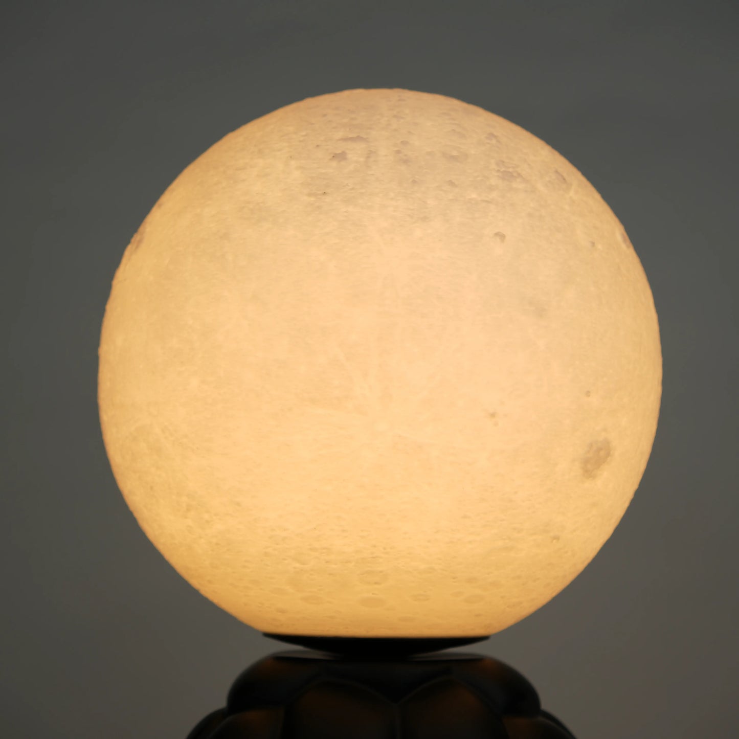 Black tortoise sculpture lamp with a glowing moon orb on its shell.