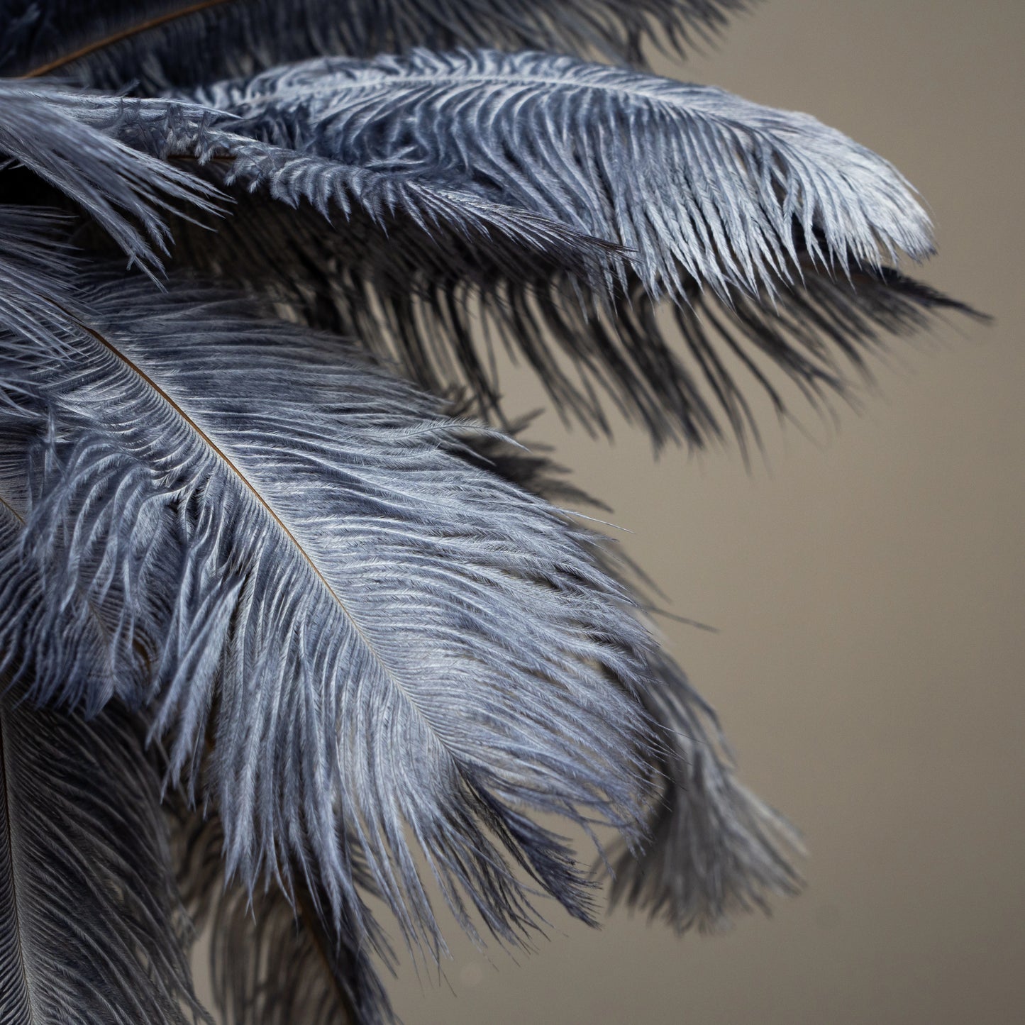 Feather Glow Lamp - Moon Grey