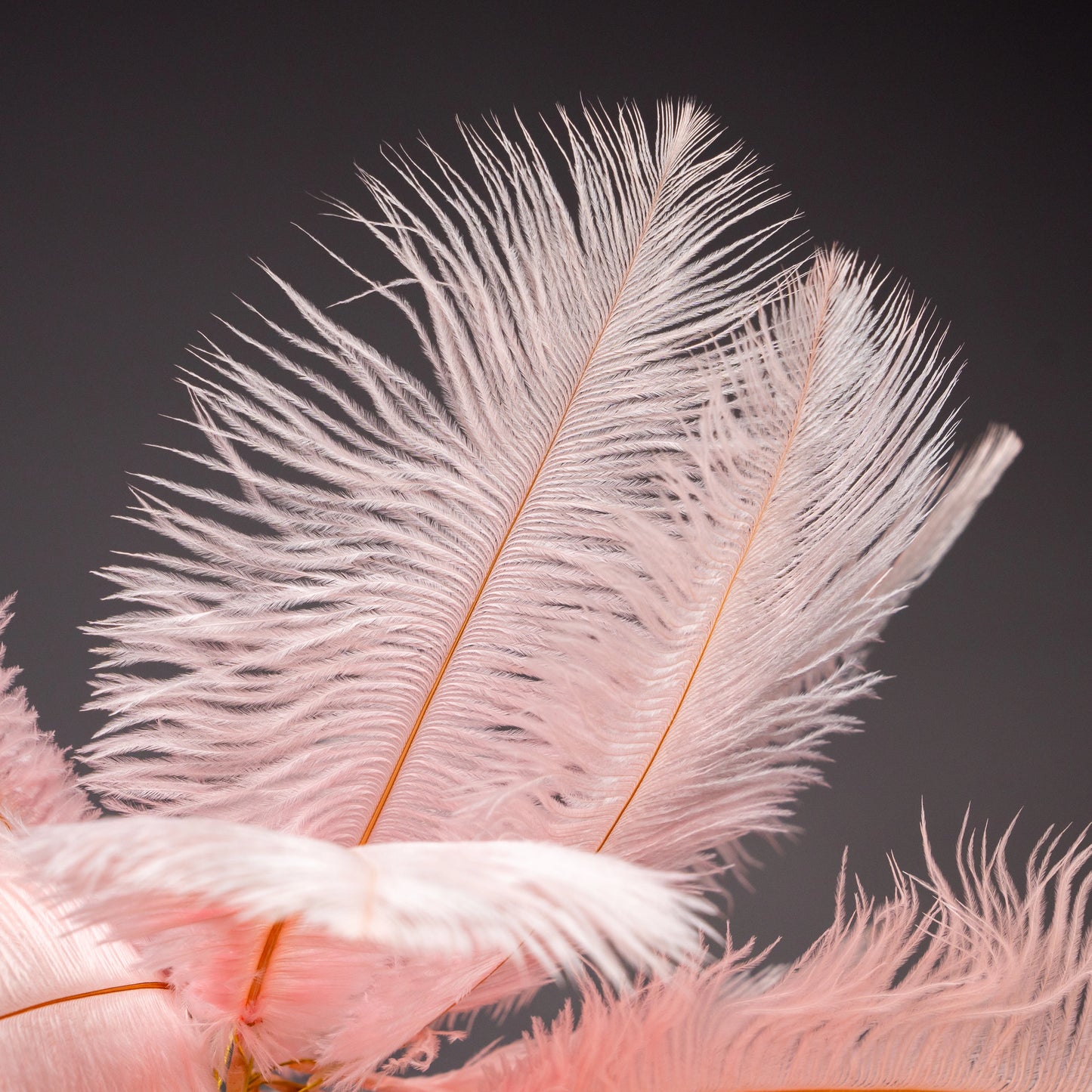 Feather Glow Lamp - Pink