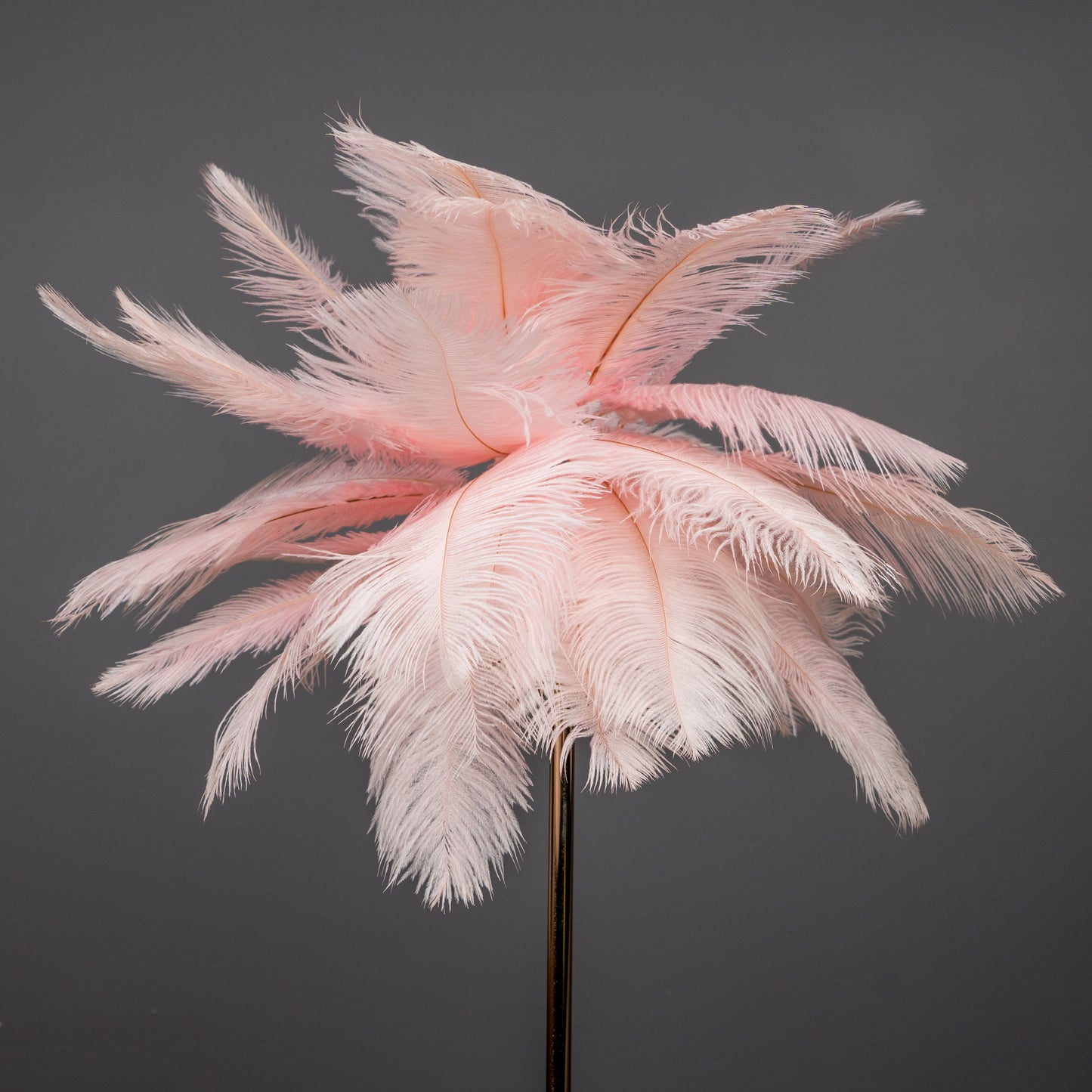 Feather Glow Lamp - Pink