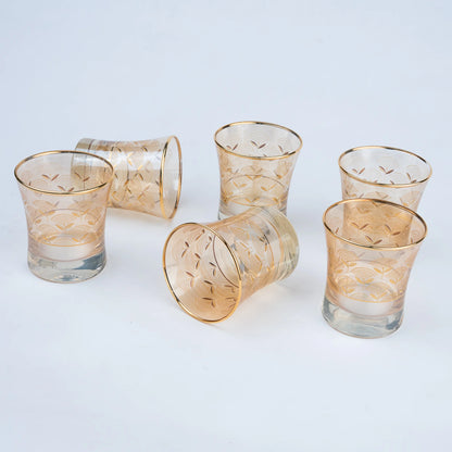 Luxury Drinking Glass Set of 6 with Gold Botanical Floral Design, Gold Rim and Premium Storage Box | Unique Gifting