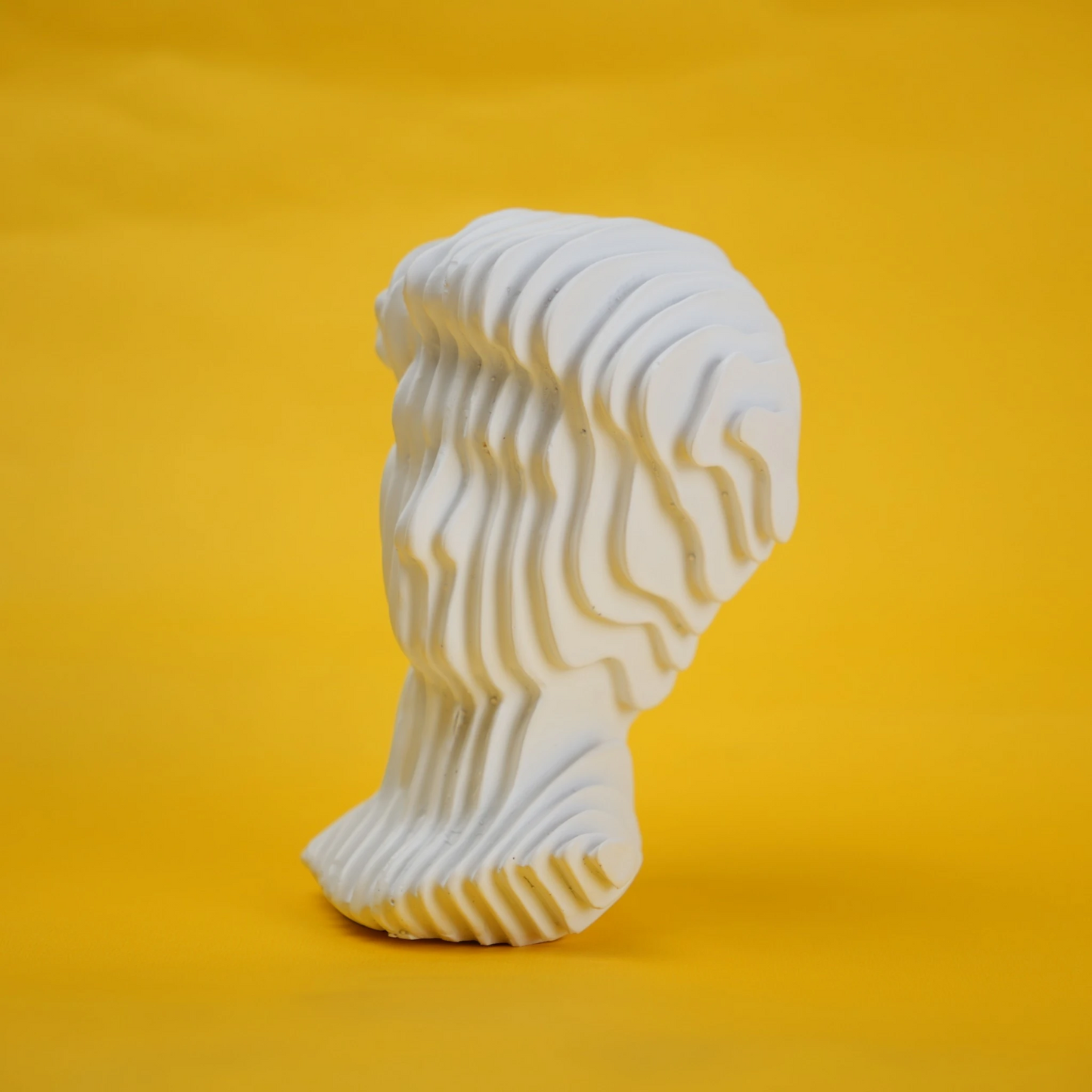 abstract head decorative object