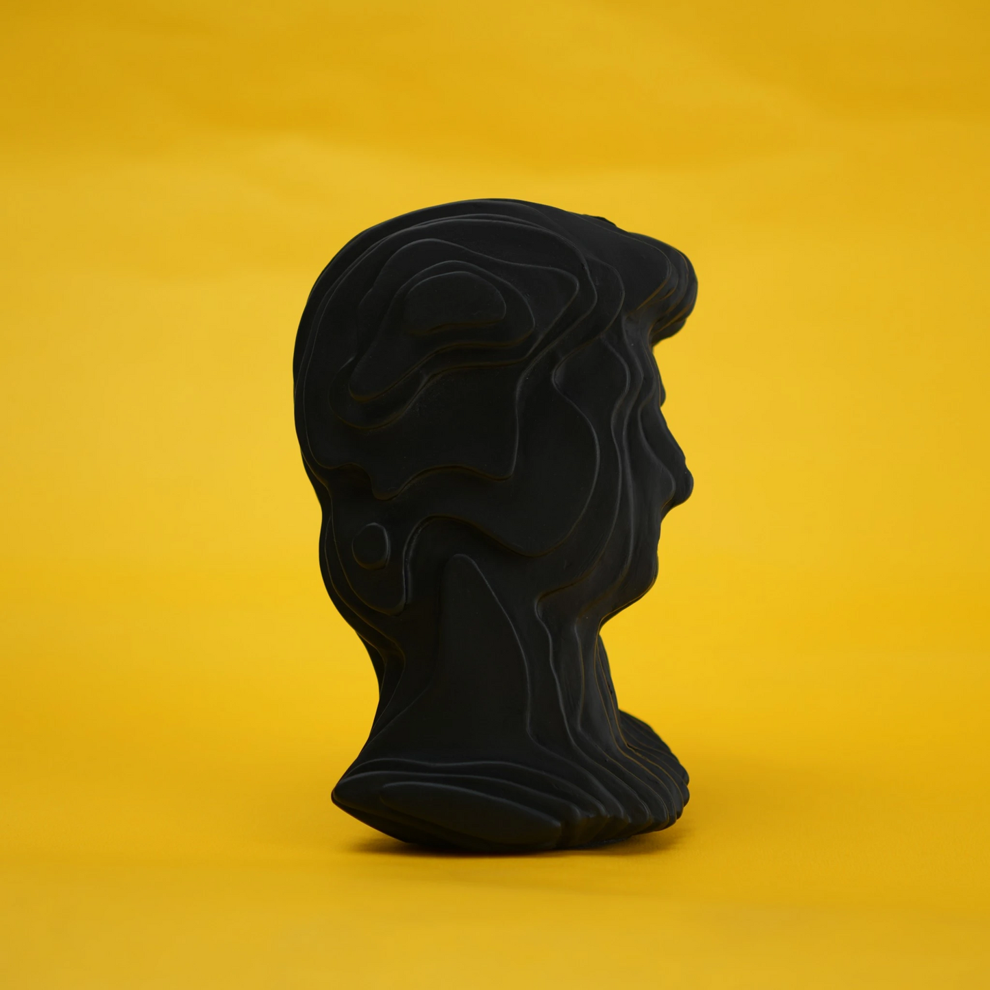 Black ripple bust profile on gold paper