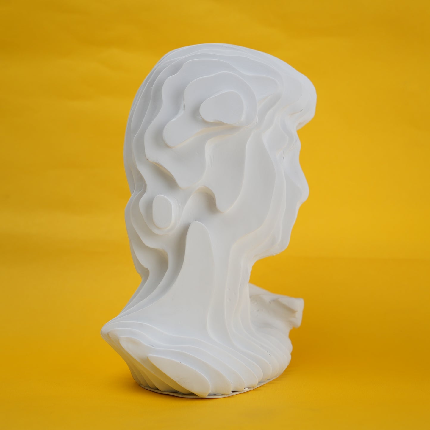 abstract head decorative object