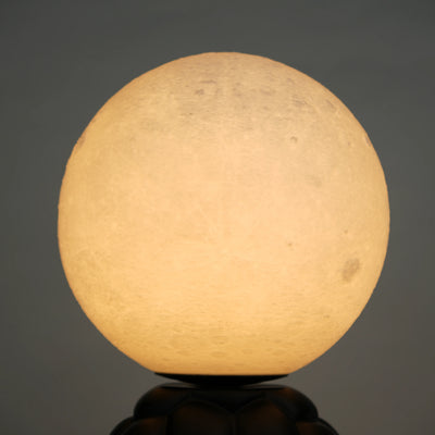 Midnight Tortoise Lamp - Black