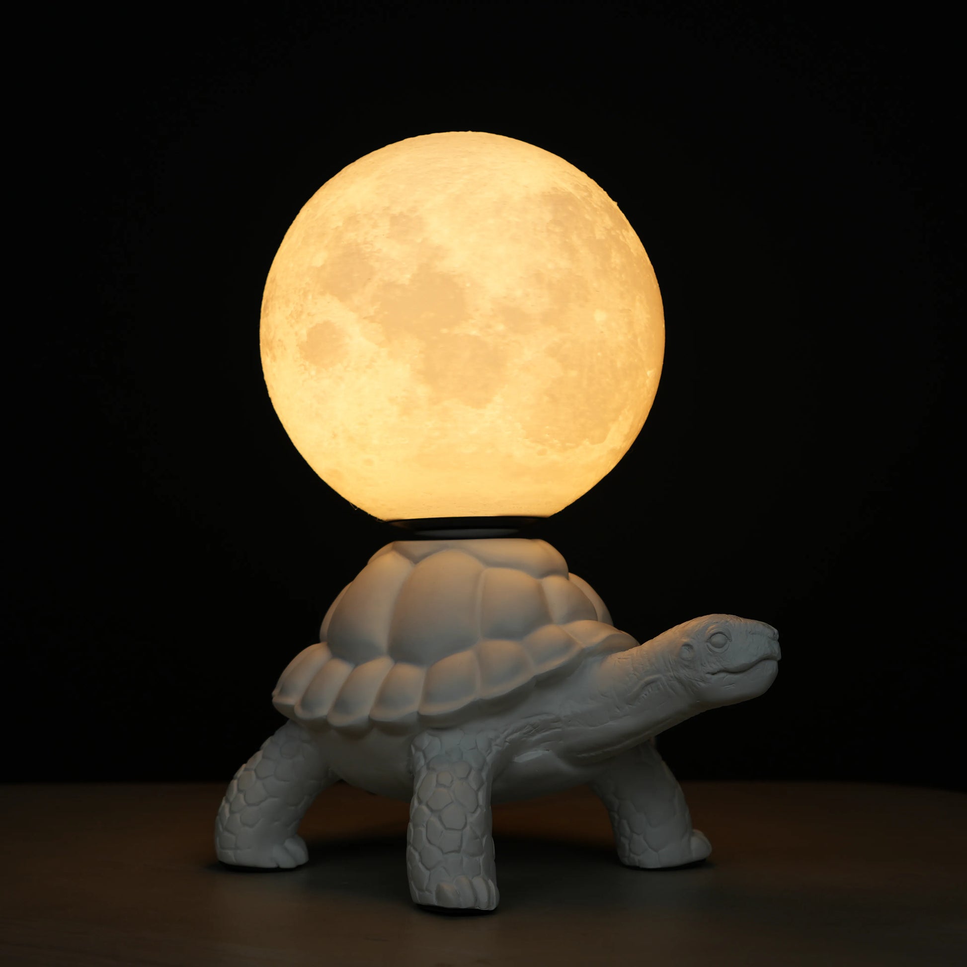 White tortoise sculpture lamp with a glowing moon orb placed on its shell.