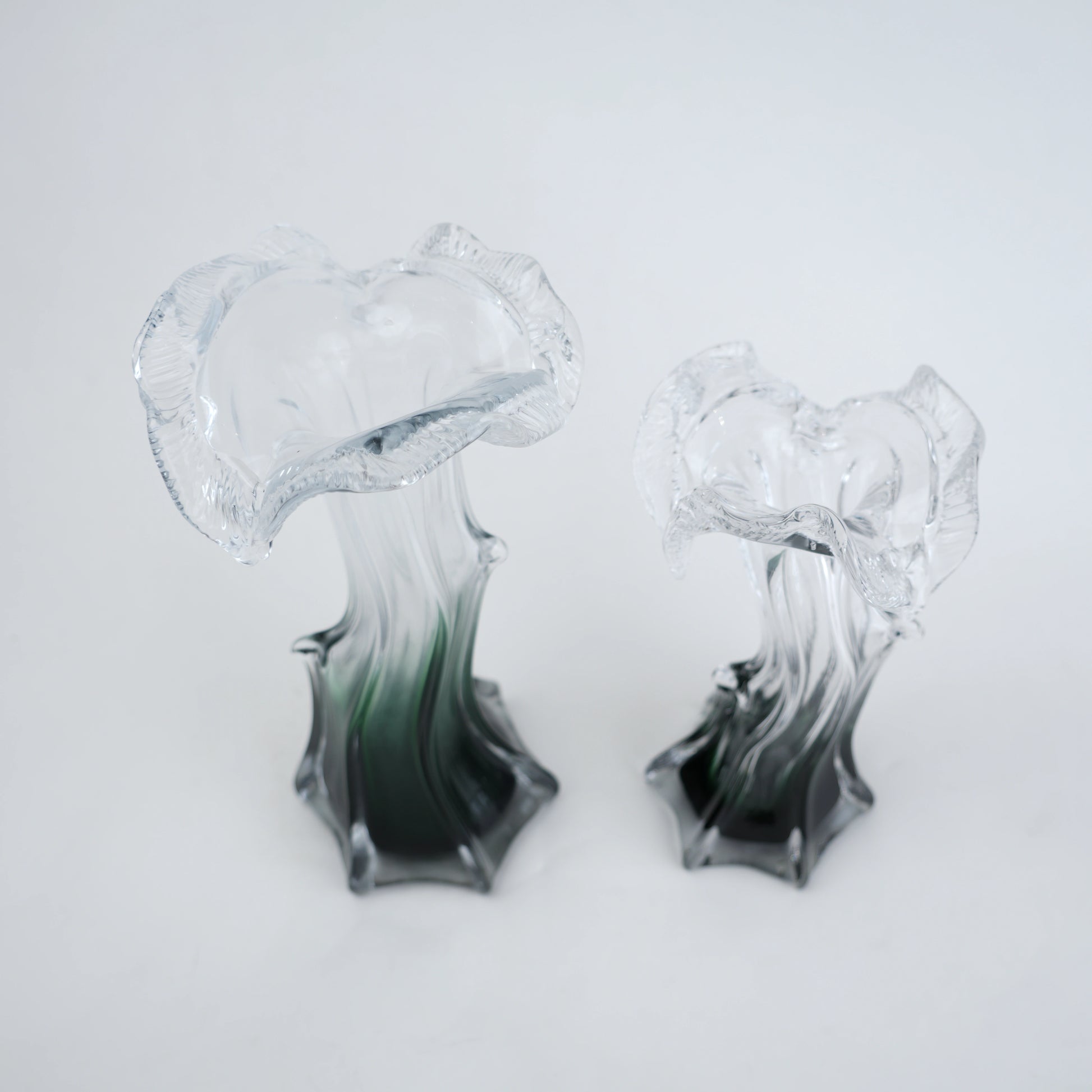 Clear glass vase with green gradient base and sculpted flowing design in small and big sizes