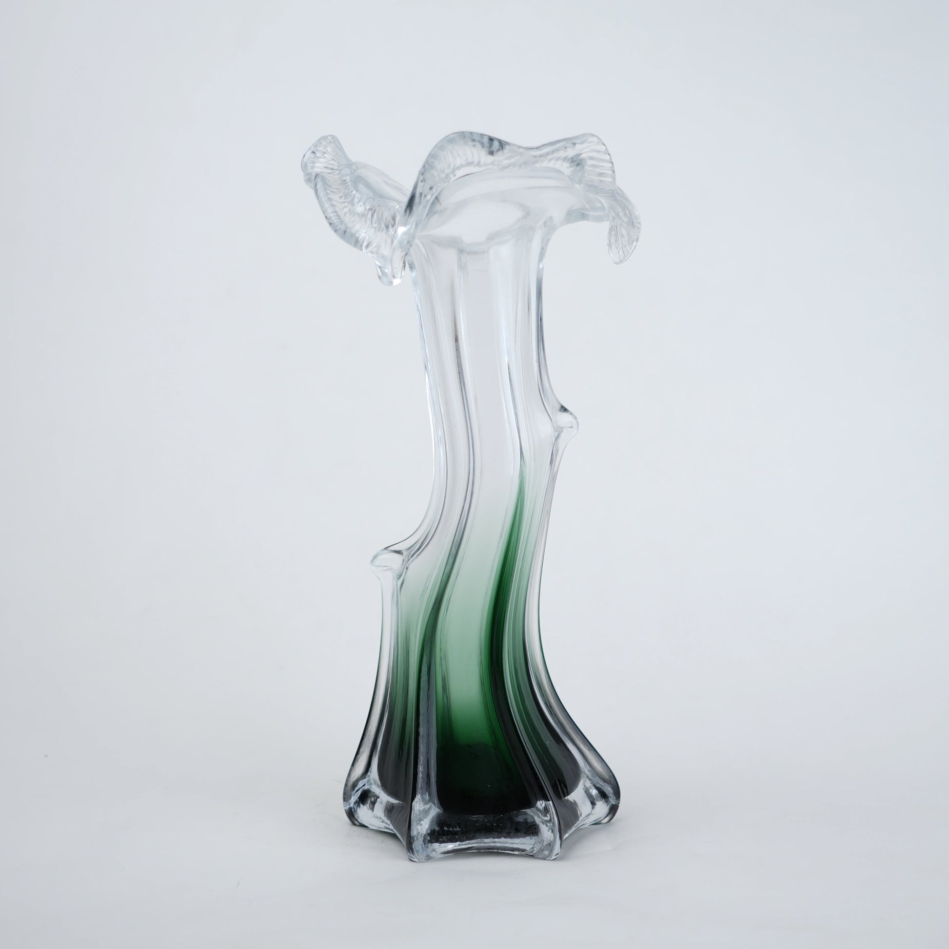 Clear glass vase with green gradient base and sculpted flowing design in small and big sizes