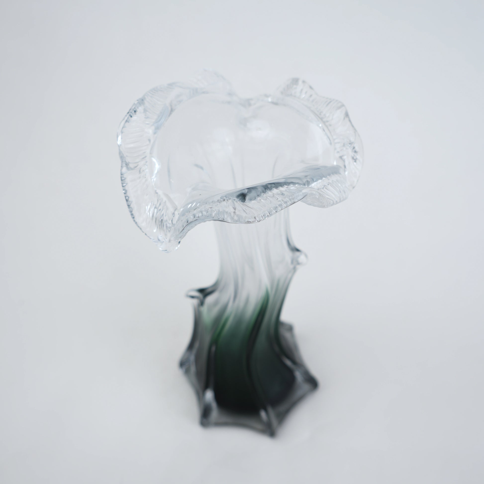 Clear glass vase with green gradient base and sculpted flowing design in small and big sizes