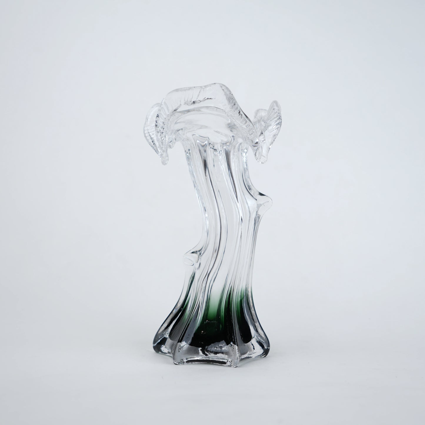 Clear glass vase with green gradient base and sculpted flowing design in small and big sizes
