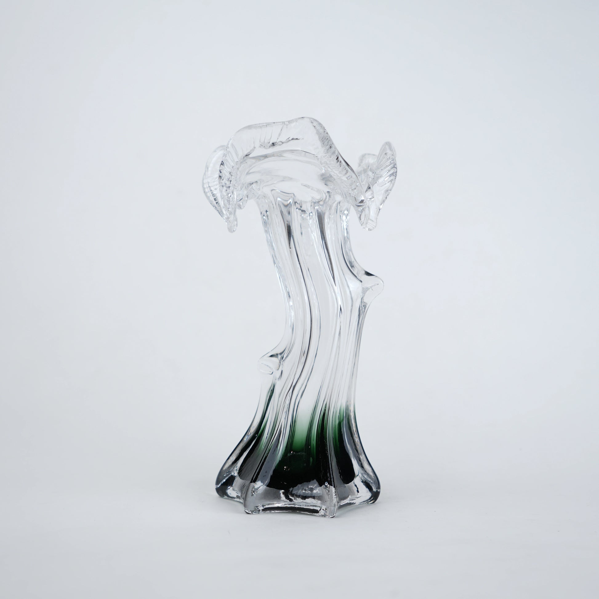 Clear glass vase with green gradient base and sculpted flowing design in small and big sizes