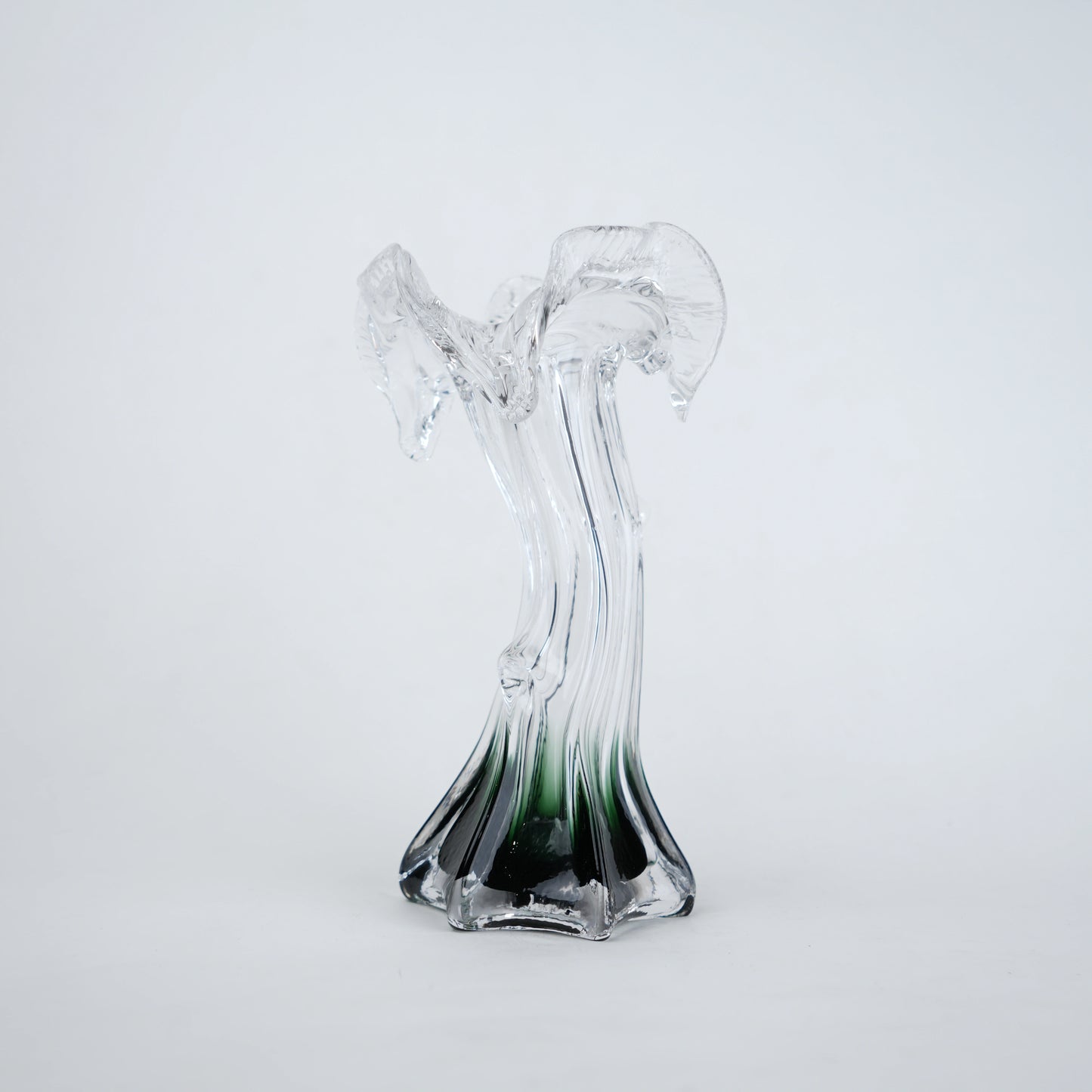 Clear glass vase with green gradient base and sculpted flowing design in small and big sizes