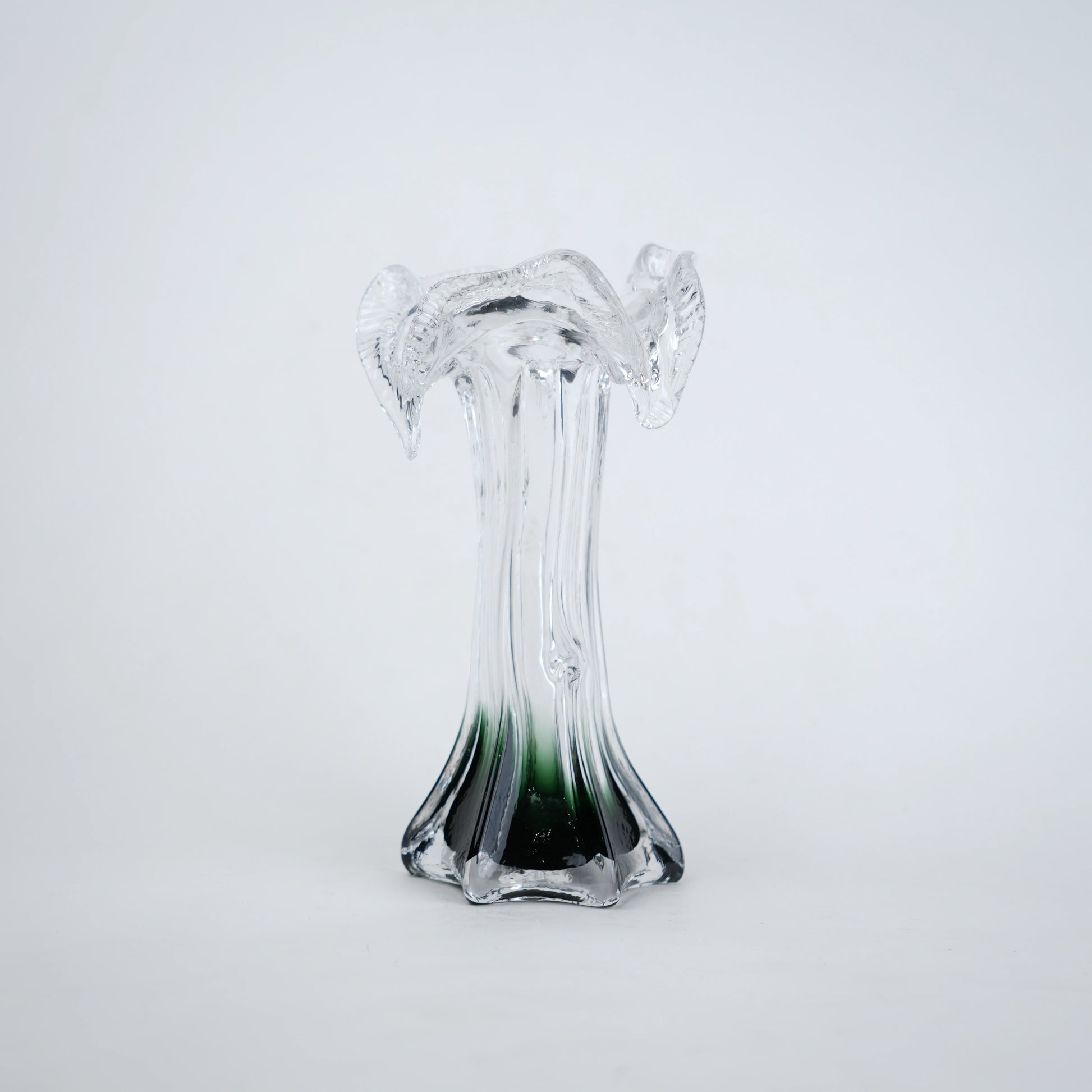 Clear glass vase with green gradient base and sculpted flowing design in small and big sizes