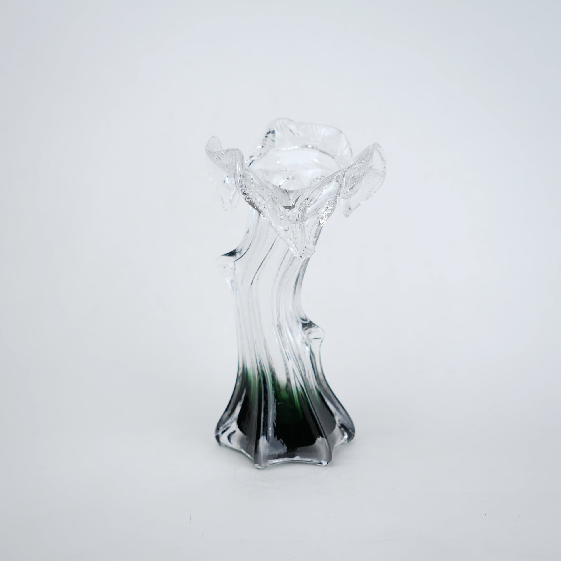 Clear glass vase with green gradient base and sculpted flowing design in small and big sizes