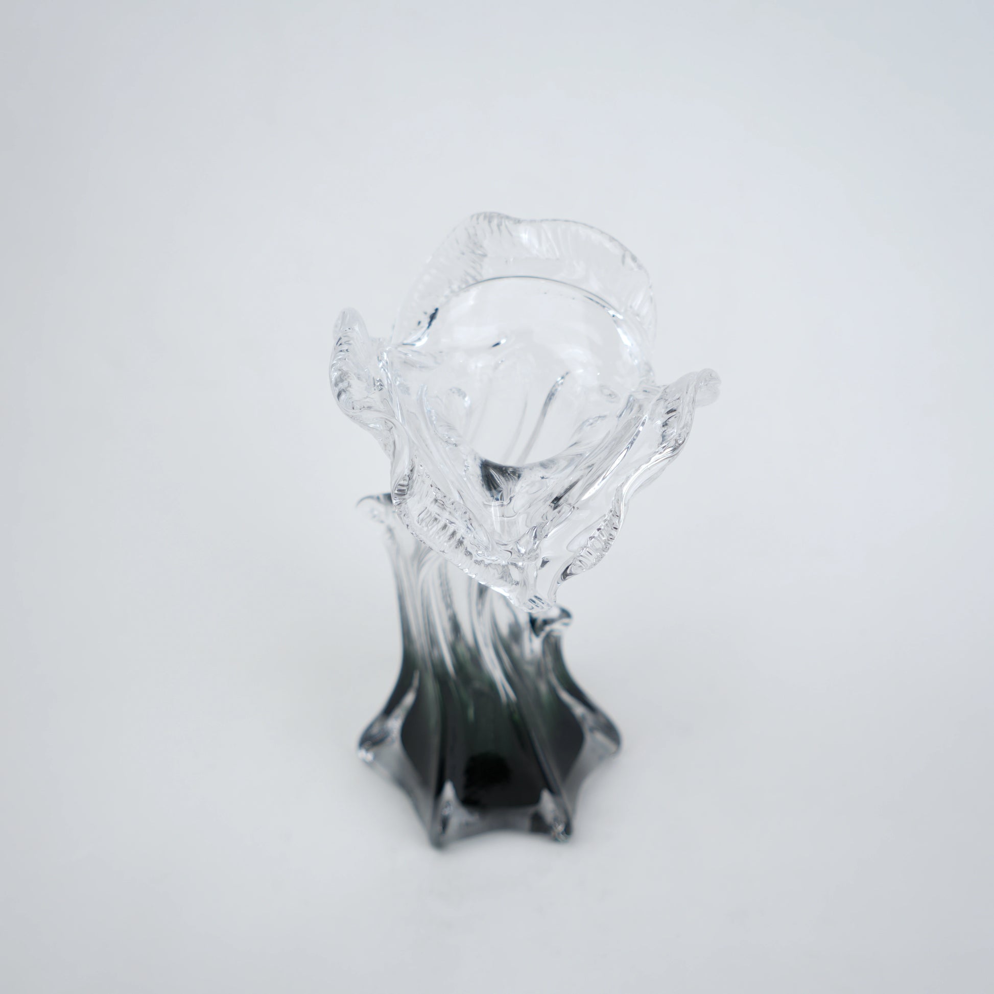 Clear glass vase with green gradient base and sculpted flowing design in small and big sizes