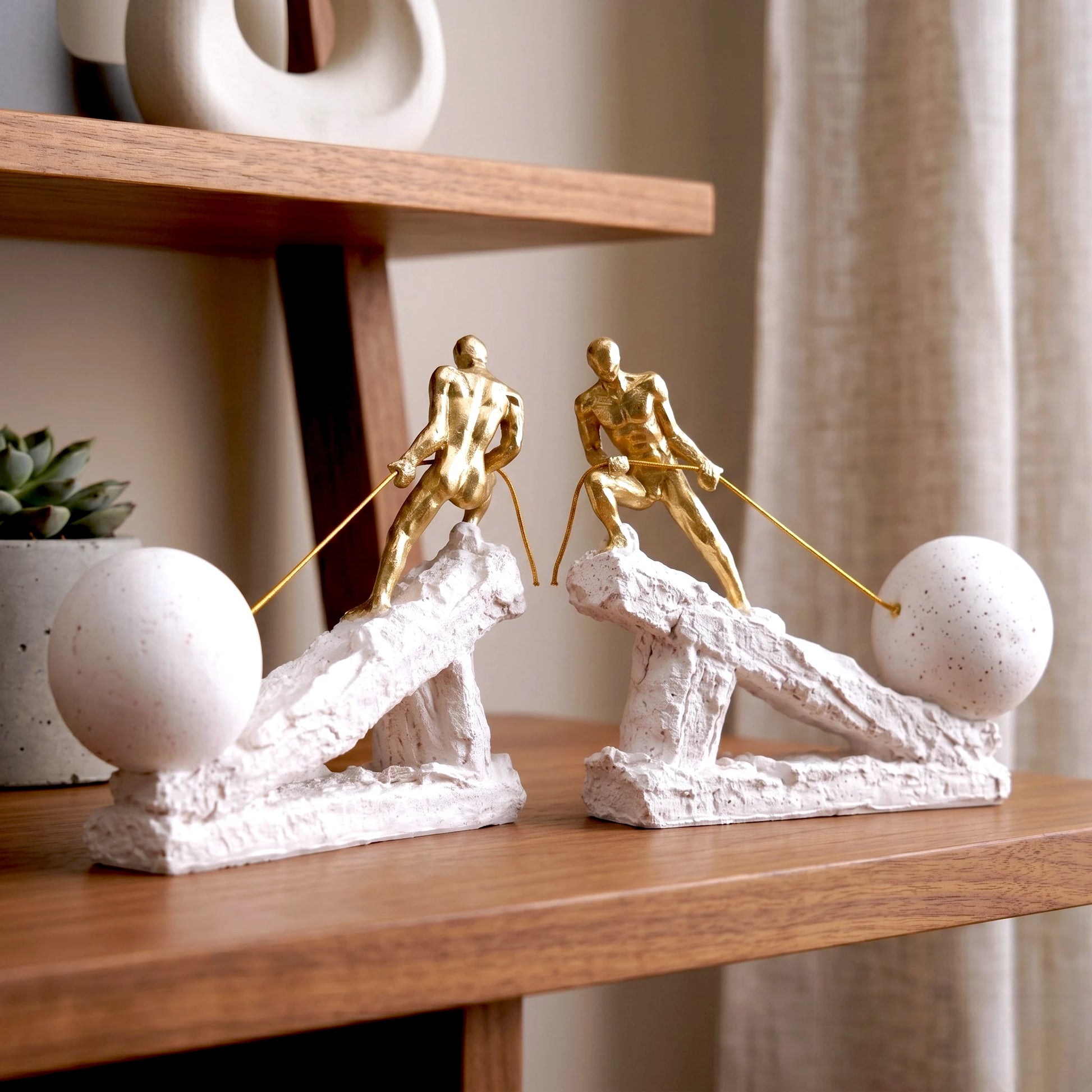 Titan Momentum twin white, shelf w/ succulent