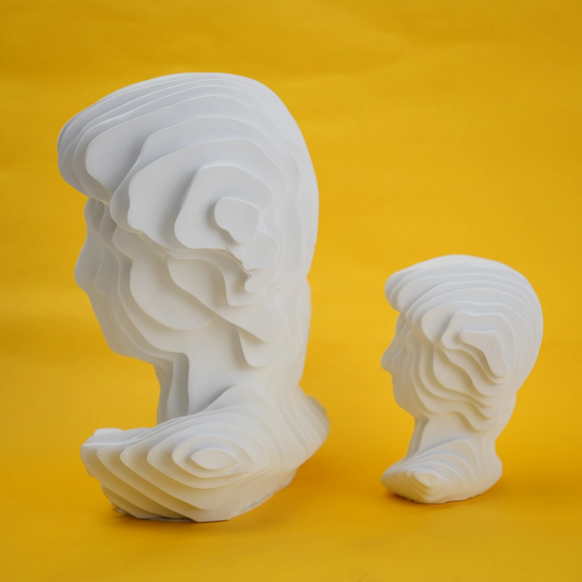 abstract head decorative object