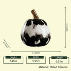 NoirLuxe pumpkin dimension specification graphic