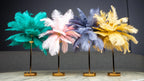Four feathered lampshades in teal, pink, blue, and yellow on stands against a dark background.