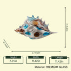 Coastal shell spec, 11.42in length
