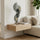 Spiral Ascent on oak shelf w/ fiddle leaf