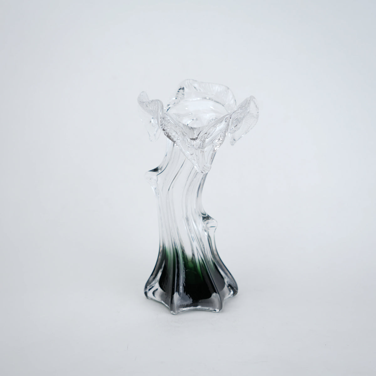 Clear glass vase with green gradient base and sculpted flowing design in small and big sizes