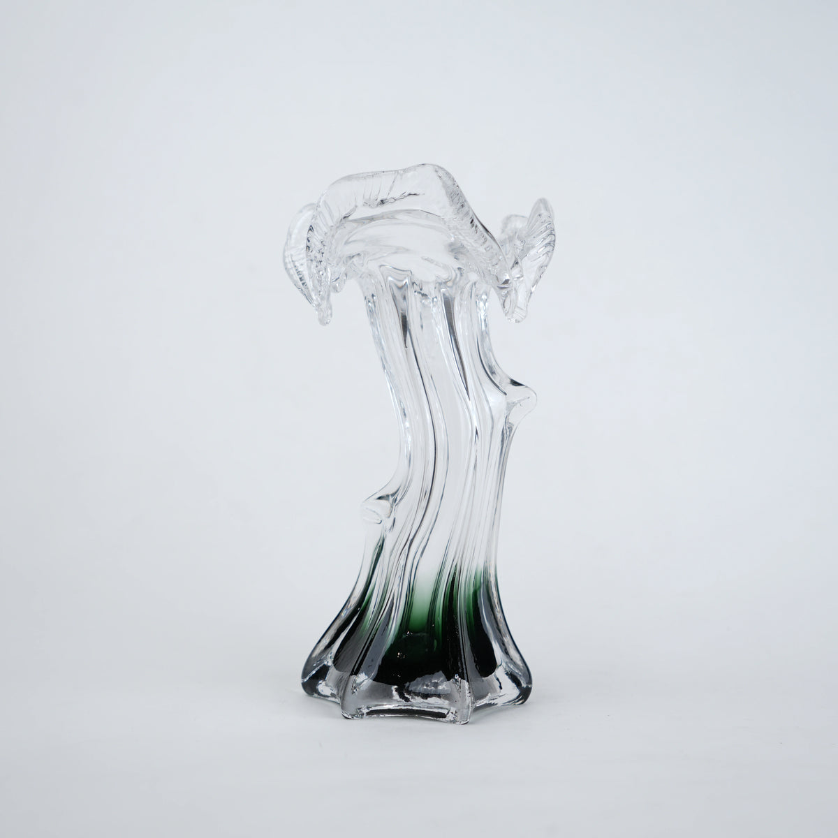 Clear glass vase with green gradient base and sculpted flowing design in small and big sizes