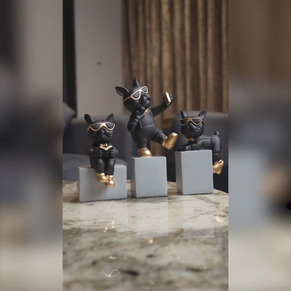 Urban Pup Trio – Black