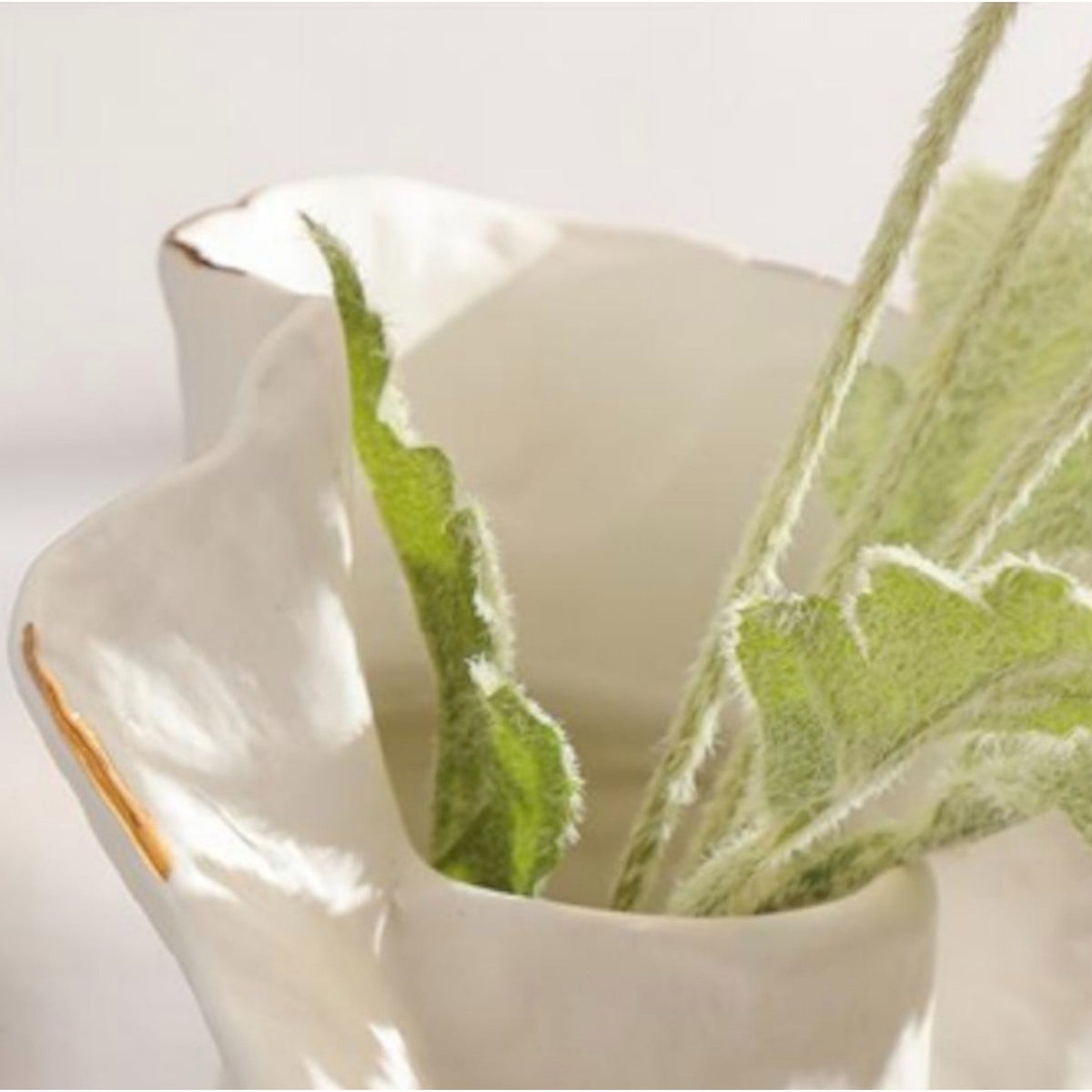 Organic Crest gold rim macro w/ lambs ear